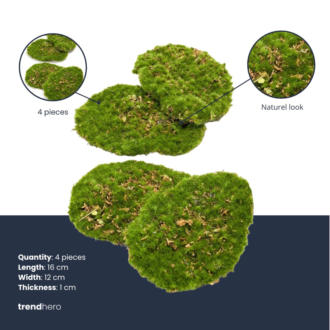 Moss Plate - Green Moss – Set Of 4 - Artificial Moss