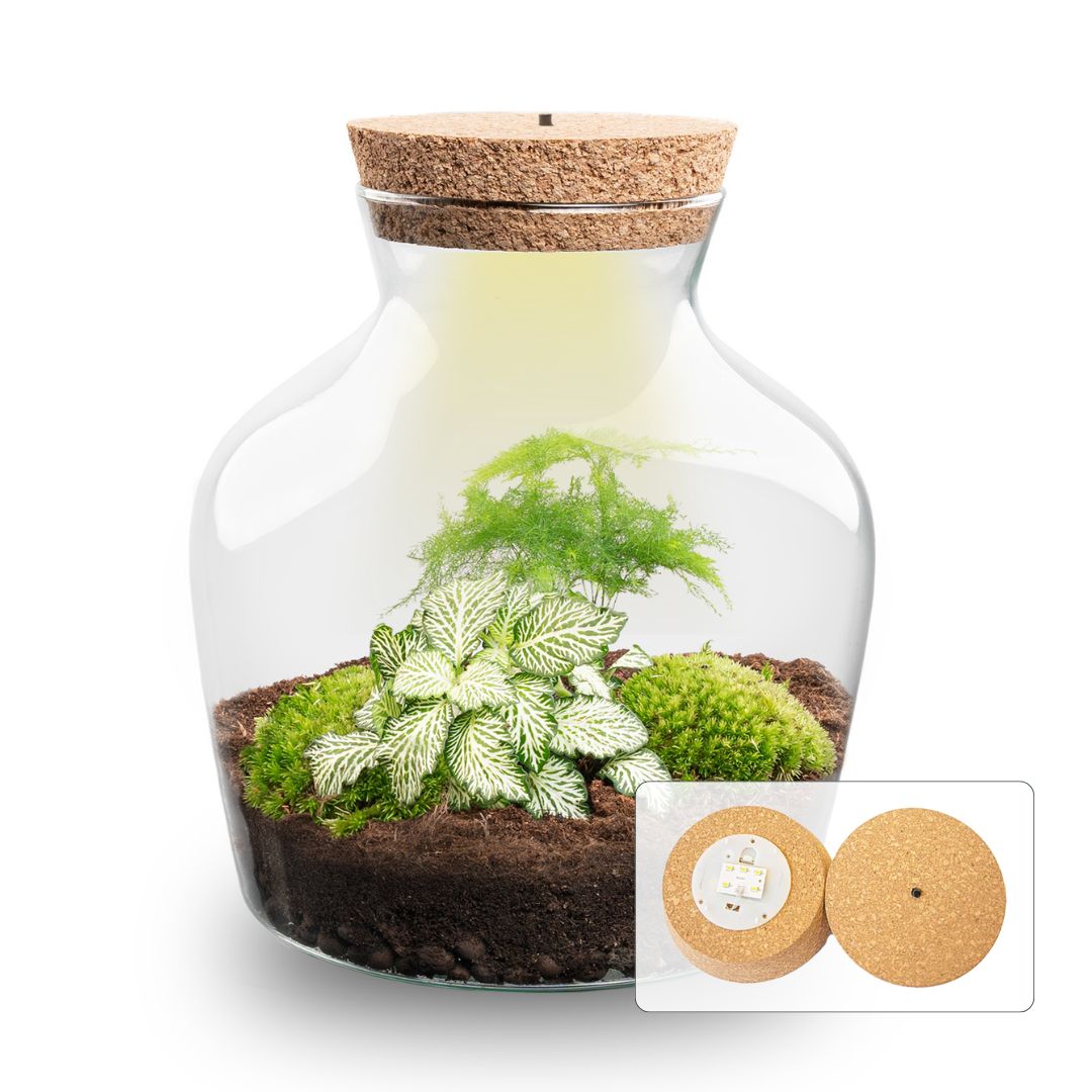 Terrarium Little Joe - Ø 20 Cm ↑ 22 Cm - Relatiegeschenk