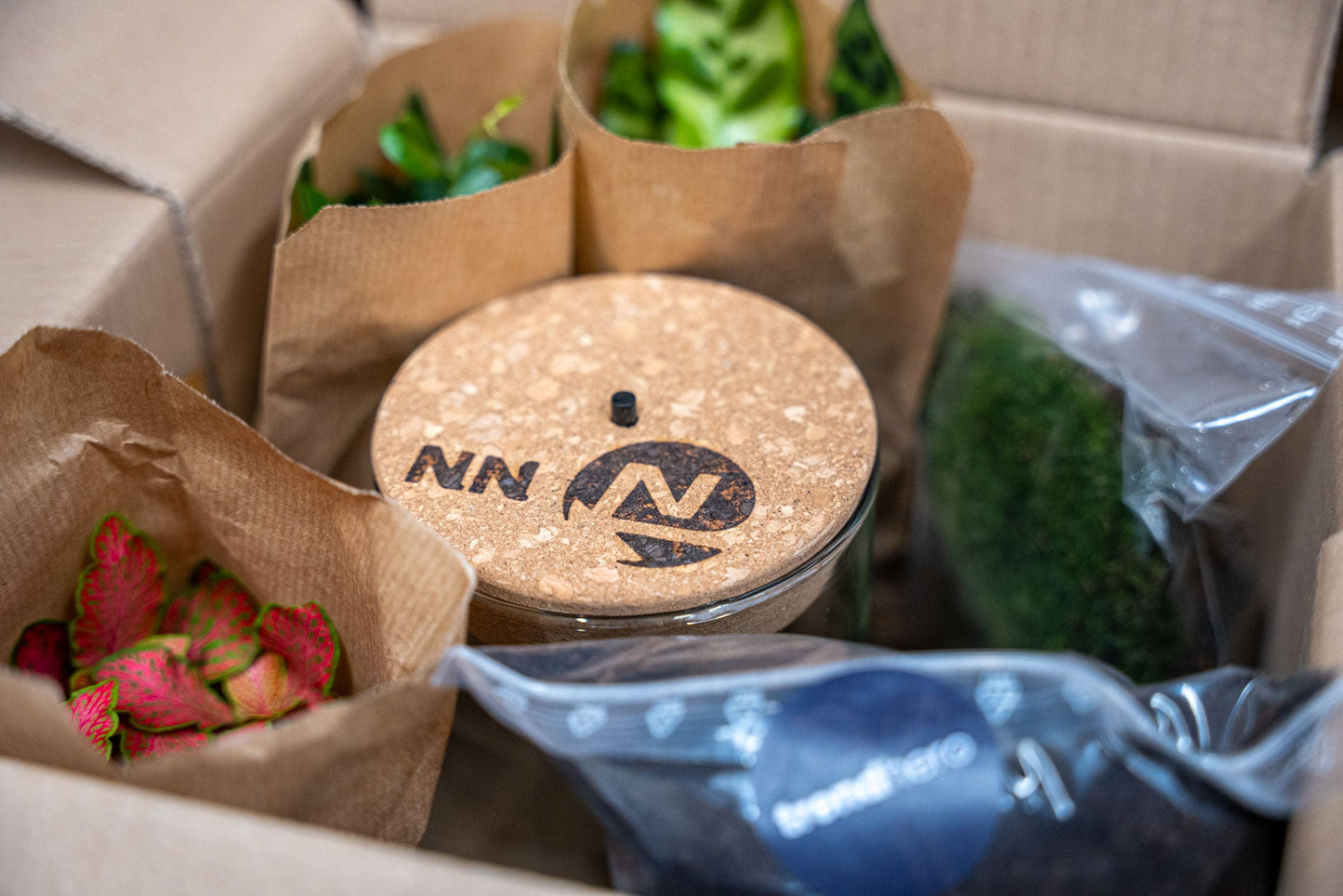 Terrarium Little Joe - Ø 20 Cm ↑ 22 Cm - Relatiegeschenk