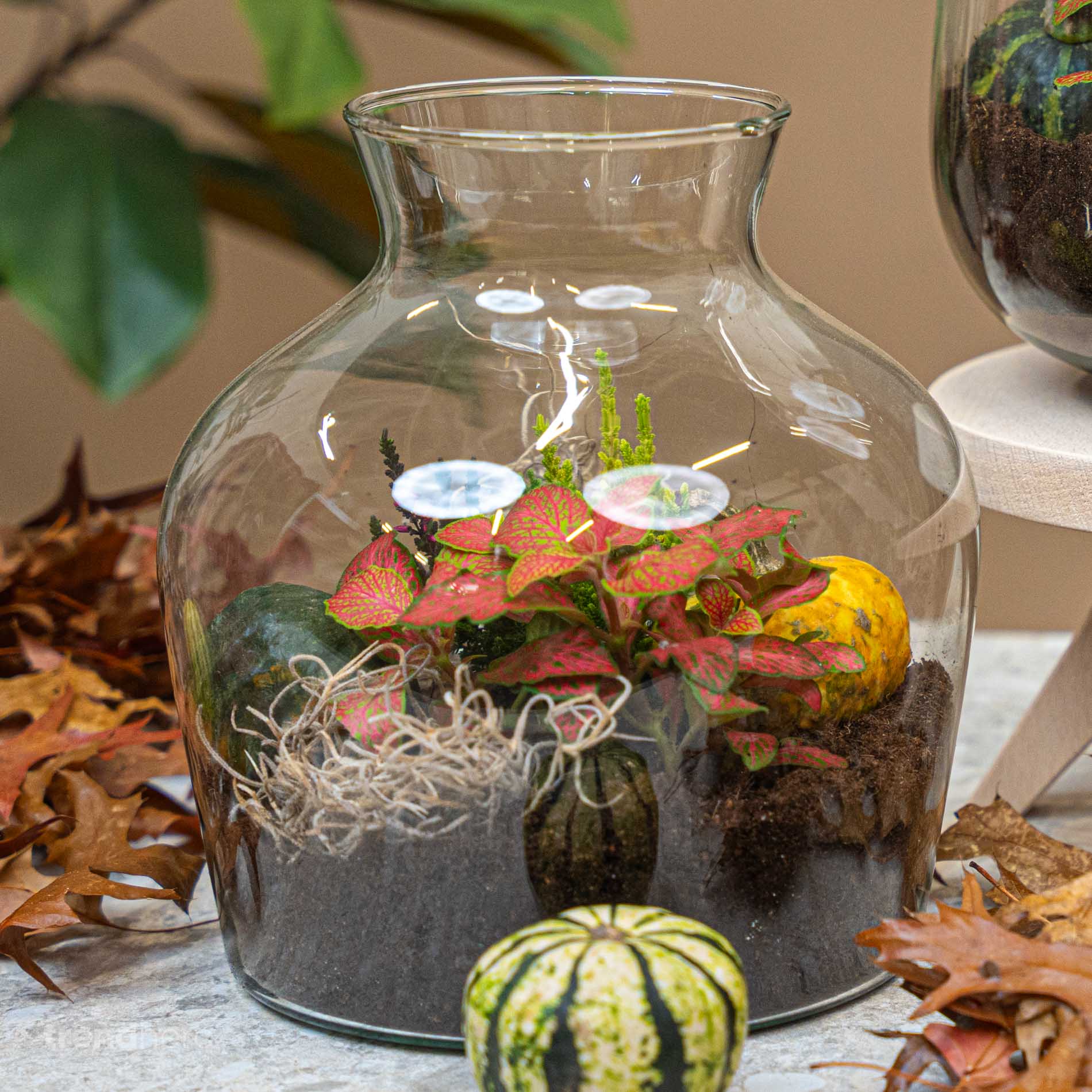 Little Joe Autumn - Glass Bottle With Autumn Plants And Mini Pumpkins - Autumn Bottle Garden Diy Kit - Ø 20 Cm ↑ 22 Cm