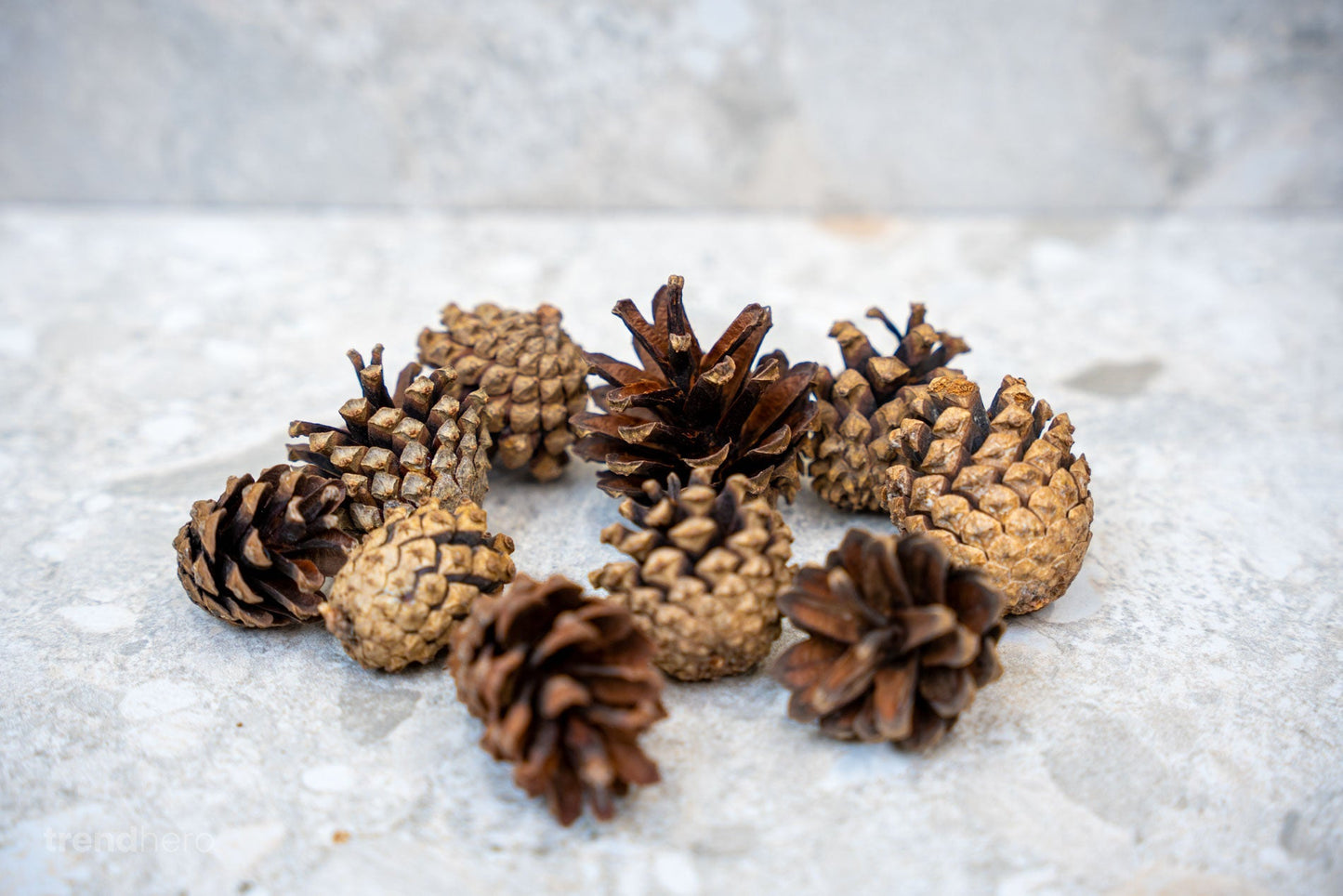 Pine Cones 10 Pcs - Size 4 - 6 Cm (Small)