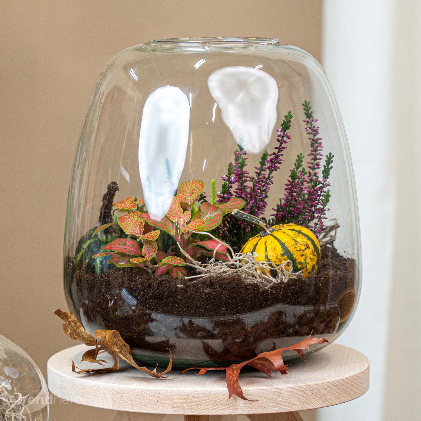 Emma Autumn - Glass Bottle With Autumn Plants And Mini Pumpkins - Autumn Bottle Garden Diy Kit - Ø 23 Cm ↑ 25 Cm