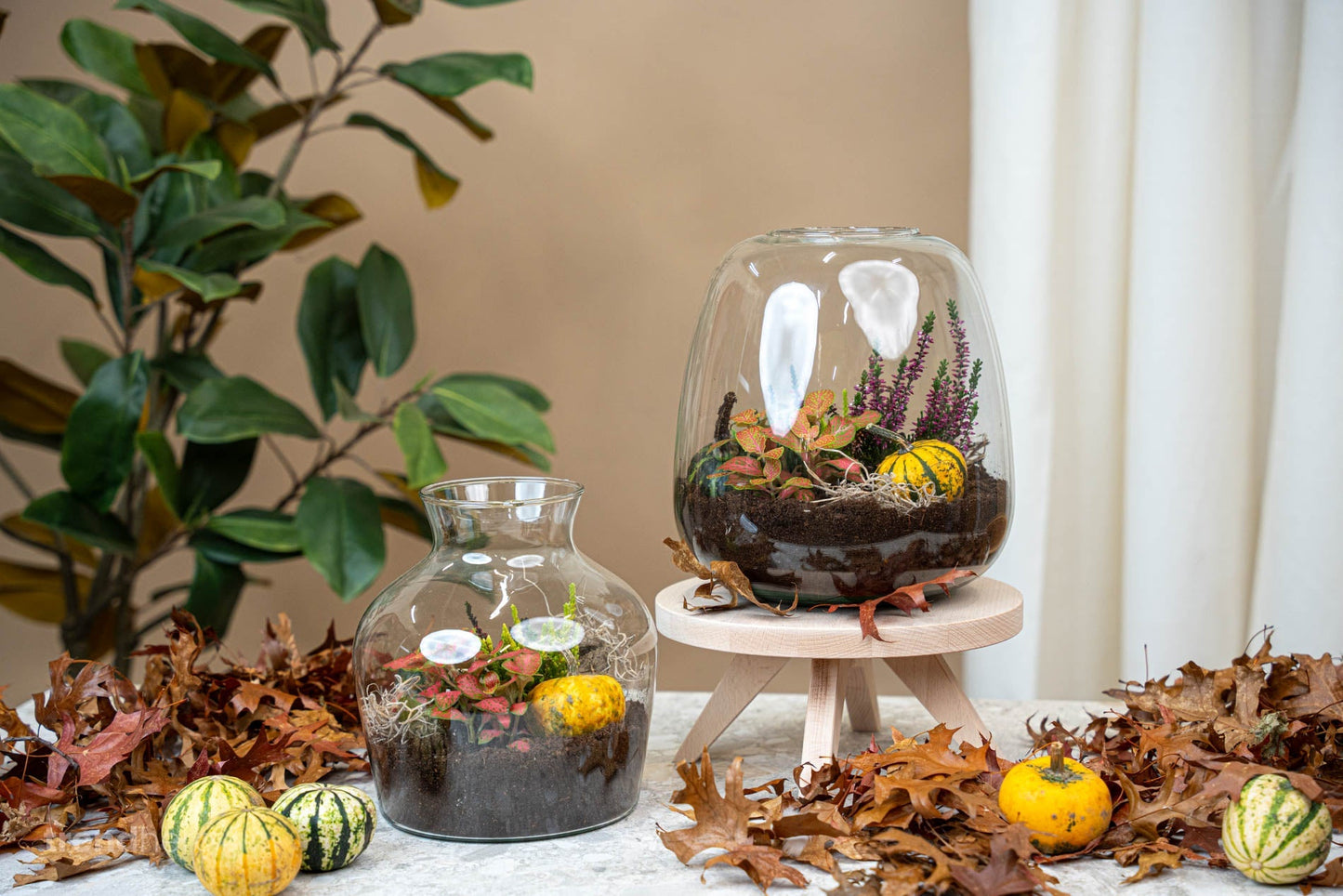 Emma Autumn - Glass Bottle With Autumn Plants And Mini Pumpkins - Autumn Bottle Garden Diy Kit - Ø 23 Cm ↑ 25 Cm
