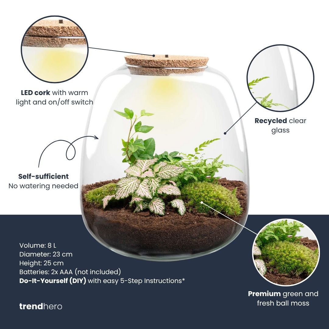 Emma - Terrarium With Light - Bottle Garden Diy Kit - Ø 23 Cm ↑ 25 Cm