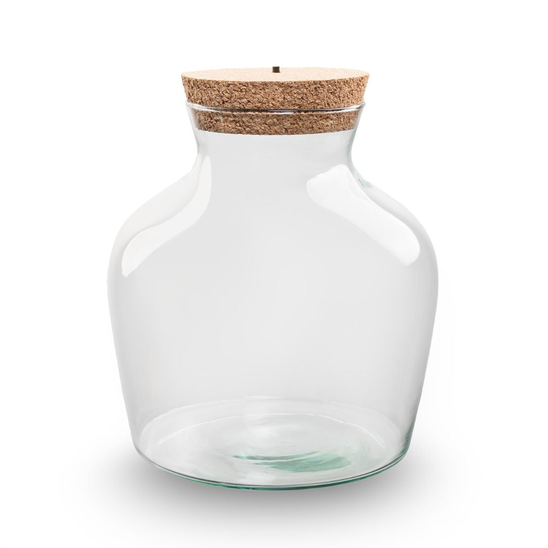 Terrarium Bottle 'Little Joe' - Incl. Led Cork - Closed Terrarium Ø 20 Cm ↑ 22 Cm
